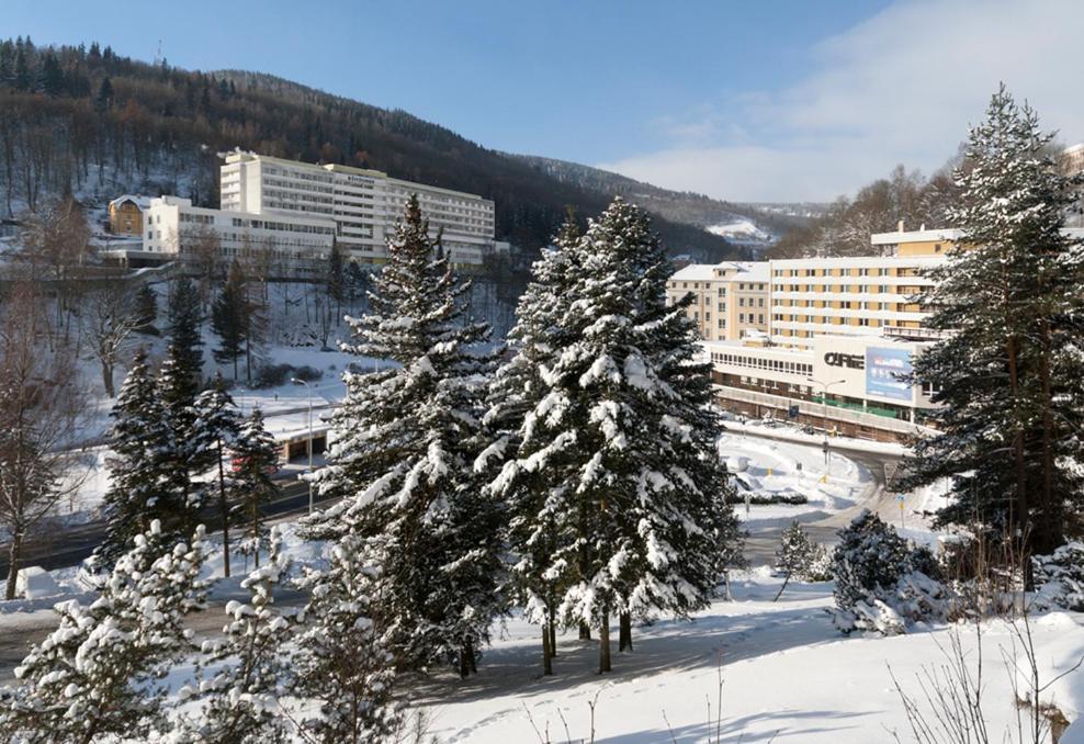 Hotel Luzice Jáchymov Extérieur photo